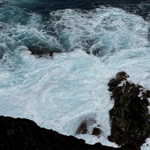 Marine Carbon Dioxide Removal – Will Geoengineering Save the Planet or Make Things Worse?