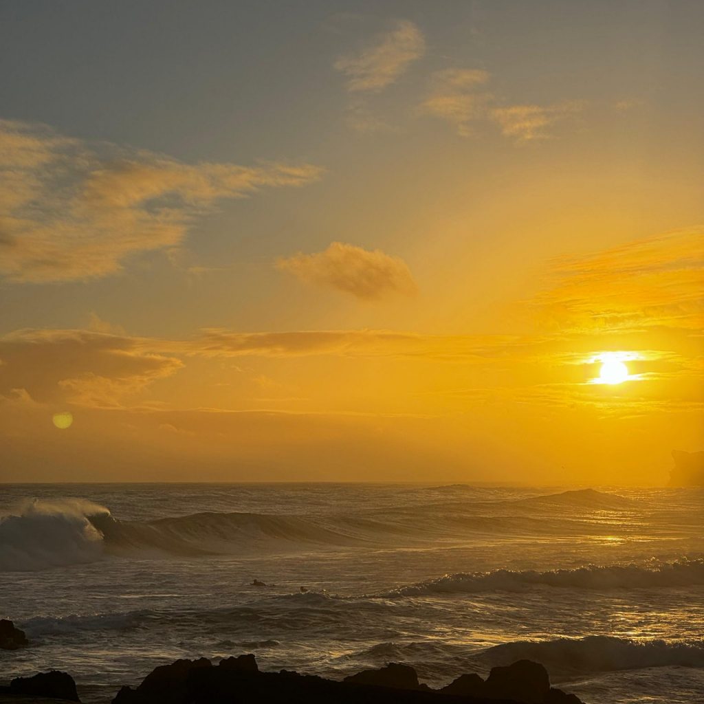 whatsapp image 2025 12 04 at 11.12.21