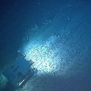 How to Advocate Against Deep-Sea Mining: Lessons from the Deep Sea Academy